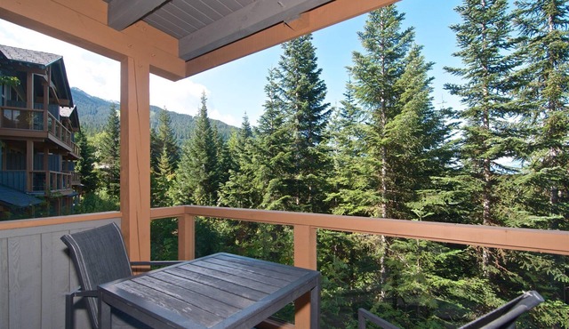 SKI IN/SKI OUT Beautiful Family Townhome. Newly renovated, Free parking, one level unit,