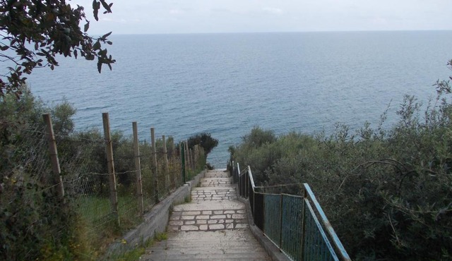 Soleli