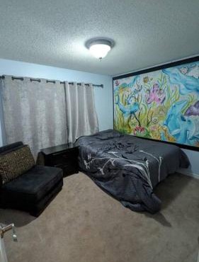 Spacious West Kelowna Home that is great for family, friends, or business trip!
