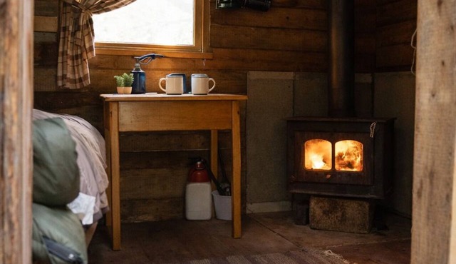 Spruce, the tiny cabin in the woods