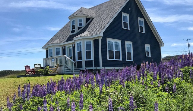 Stunning Ocean View Vacation Home, Trinity NL