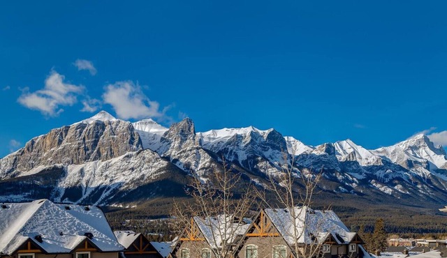 Stylish Mountain View Condo with Gym