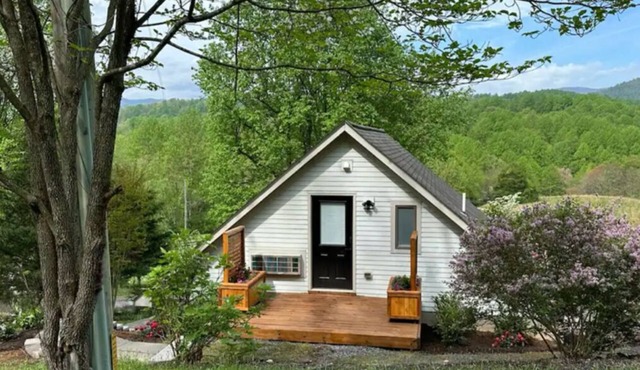 Suite at Spring Hill