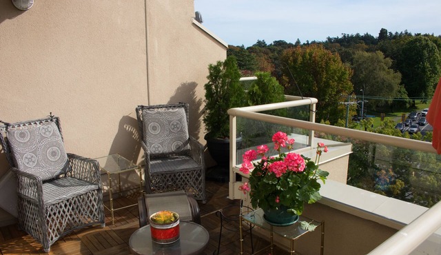 Sun Drenched Sub Penthouse Amazing Views