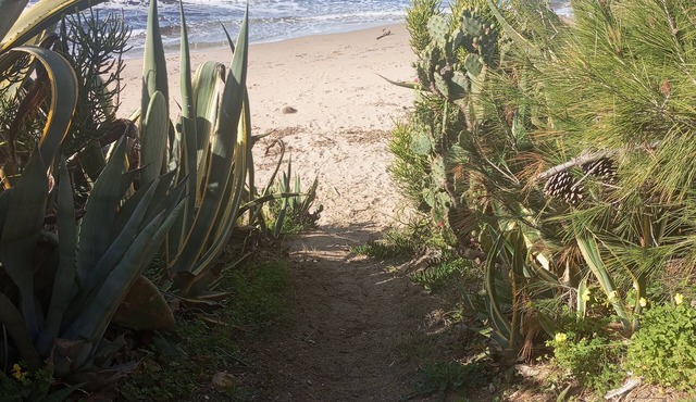Sun Sea Nature A