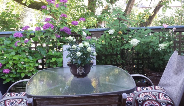 Sunny South-Facing fully furnished one bedroom suite with a 10 X 20 Deck