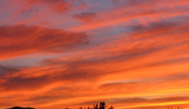 Sylvan Meadows Suite - Amazing Rural Views in the heart of Cowichan Valley