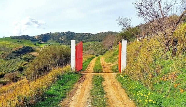 Tenuta Balabaia: Shōgun Suite