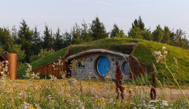 Terra Experience