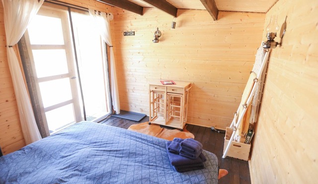 The Elderberry Cabin Bunkie