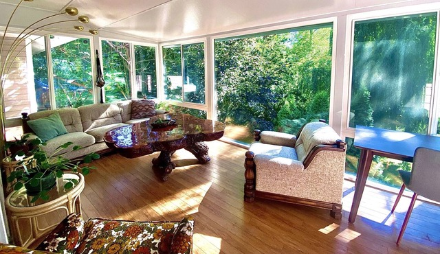 The Jungle House