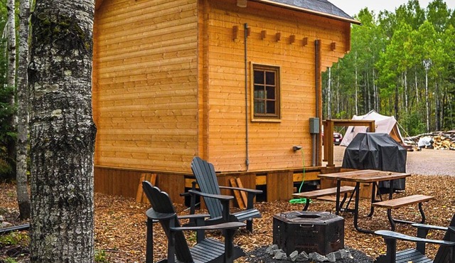 The Pine Loft Bunkie