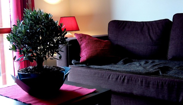 "The Red and the Black" Apartment on the main street of Zafferana