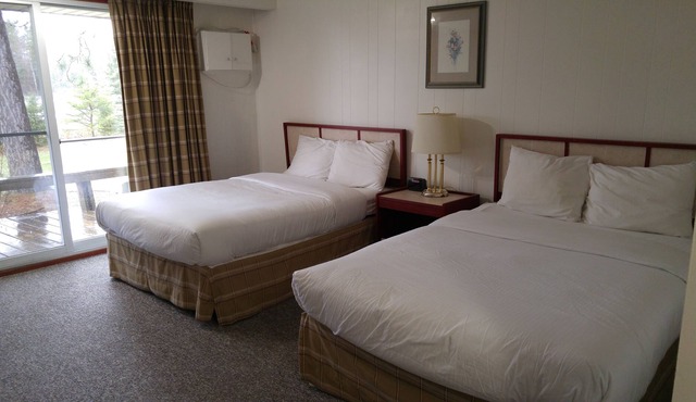 Tulip Inn