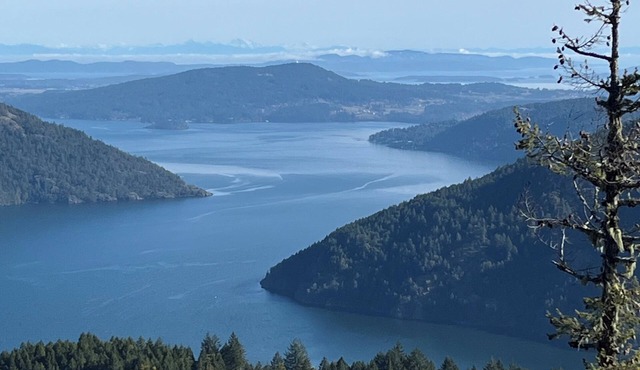 Unbeatable views/sunrises, spacious, hiking, sightseeing, wildlife.
