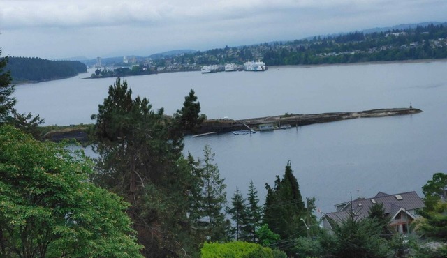 Unique Ocean View Retreat, Open Concept, Loft Style- Near Departure Bay Ferries