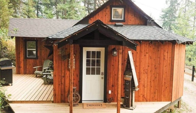Vernon Cedar Cabin - Private Hot Tub - King Bed - Close to Ski Hill and Town