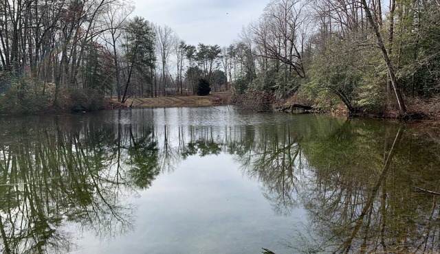 View Peaceful Pond while lounging in this open studio apartment!