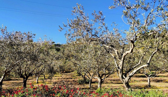 Villa Alessi