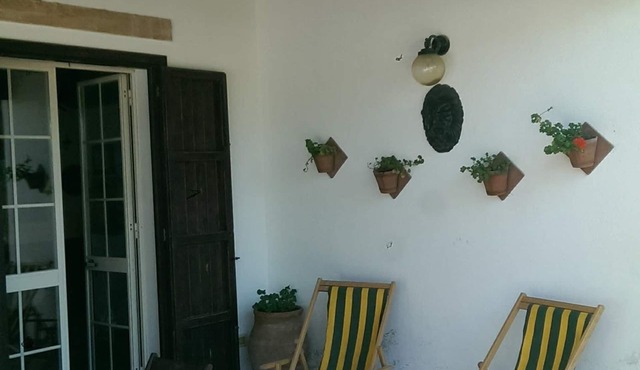 Villa garden verandas tree-lined avenues lawn 20 meters from the sea