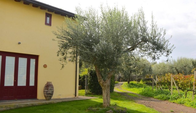 Villa Nocellara