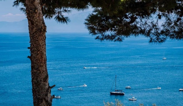 Villa Zabbara Cape Saffron