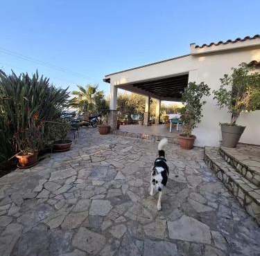 Villino Eurako, villa in riserva naturale in montagna, a 5 Min dal mare