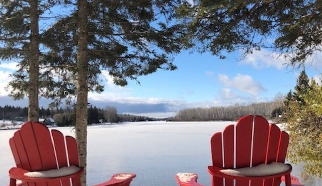 Waterfront Bliss: 360° Views at Tall Pine Point