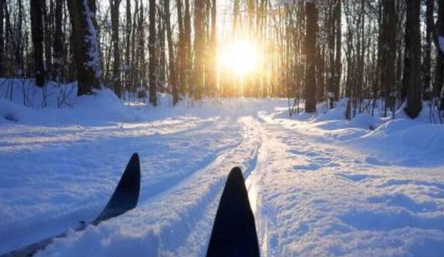 Your Perfect Fall or Winter Getaway!