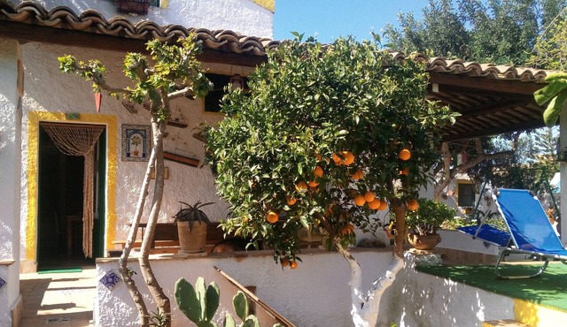 Zagara di Sicilia