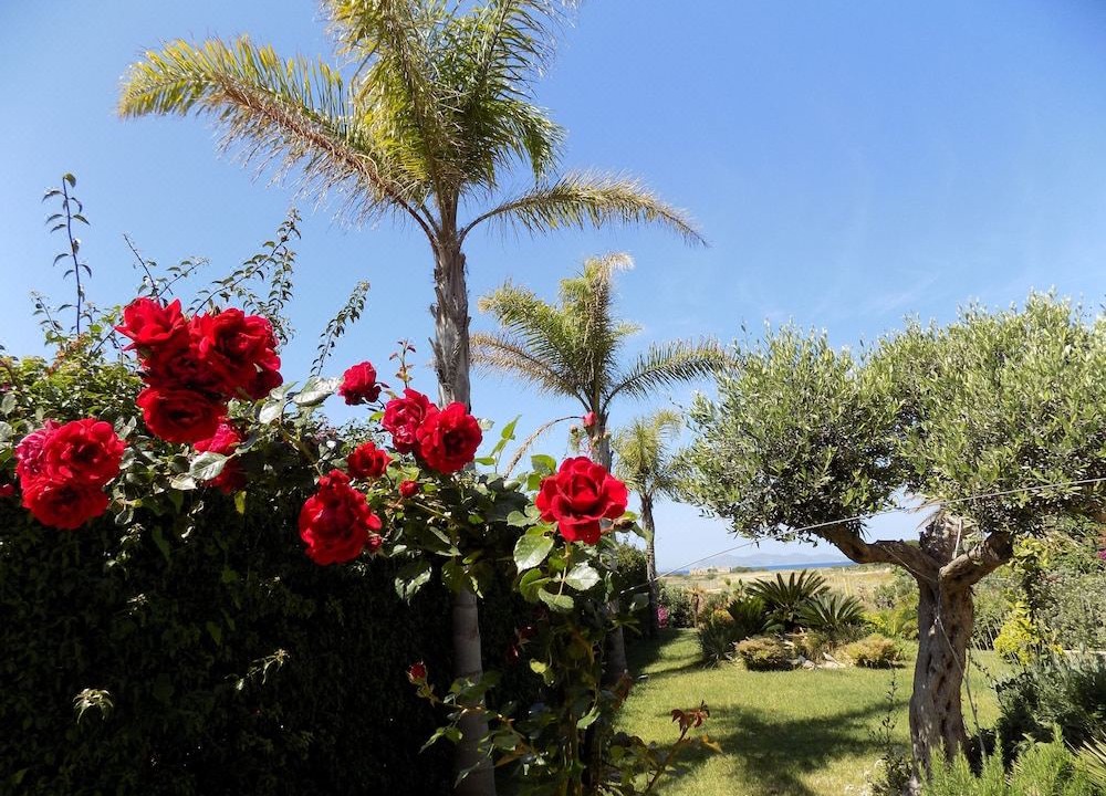 Photo of Outdoor in Nubia