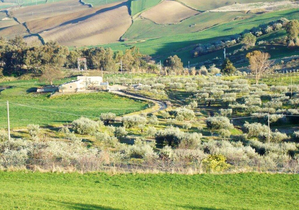 Photo of Outdoor in Lercara Friddi