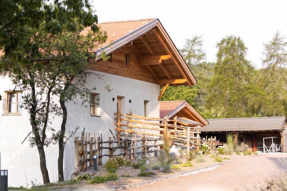 Photo of Outdoor in San Genesio Atesino