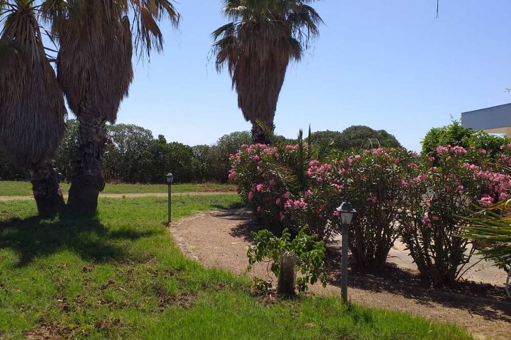 Photo of Outdoor in Mockarta
