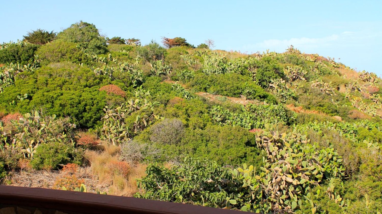 Photo of Patio Balcony in Ustica