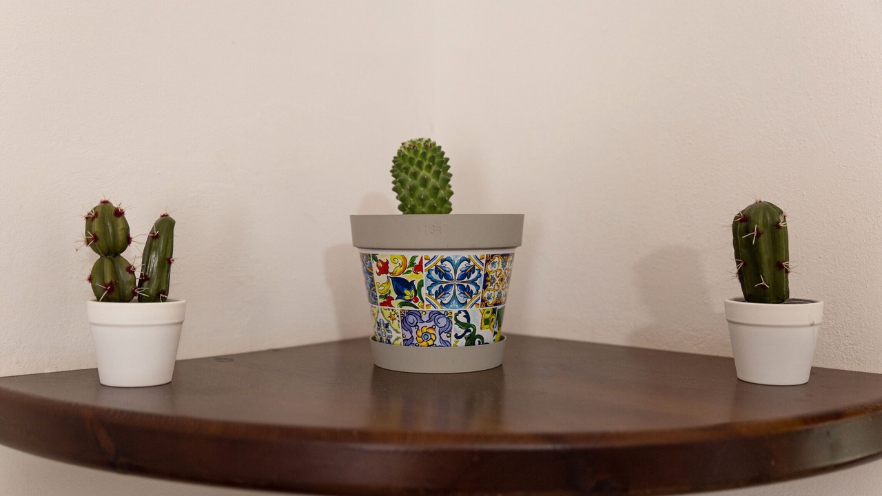 Photo of Others in Castelluzzo