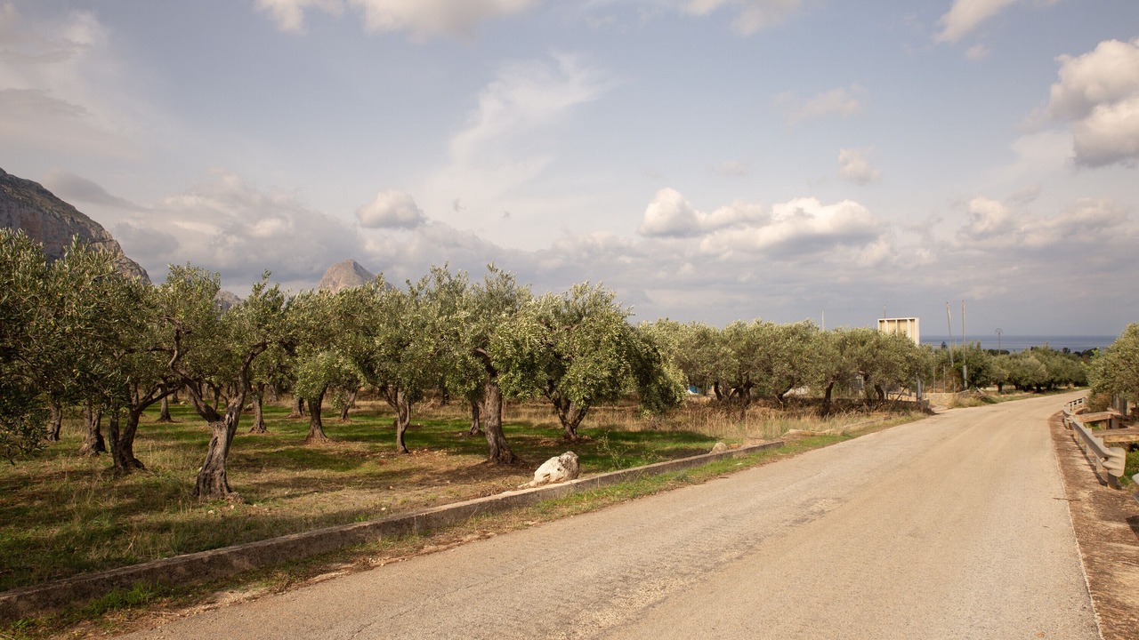Photo of Others in Castelluzzo