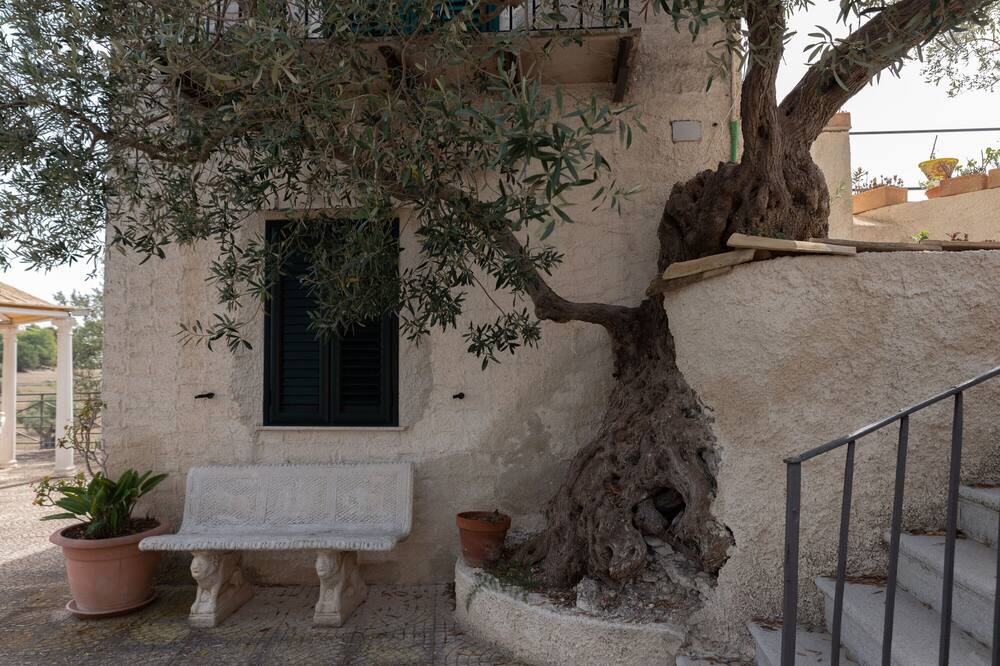 Photo of Outdoor in Licata