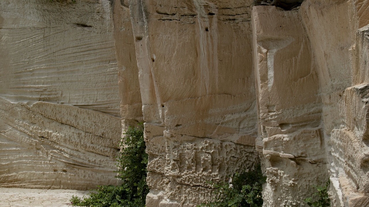 Photo of Outdoor in Favignana