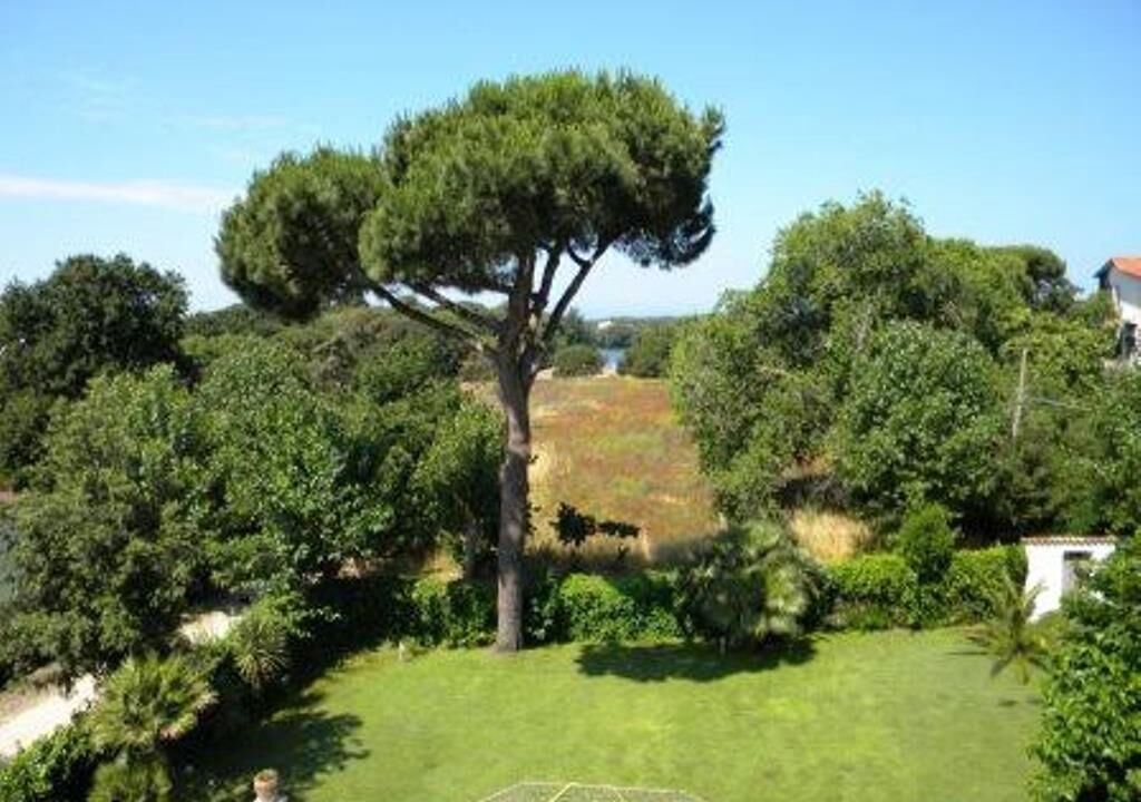 Photo of Outdoor in Sabaudia