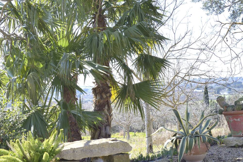 Photo of Outdoor in Pietraperzia