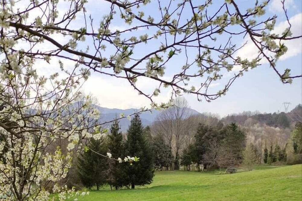 Photo of Outdoor in Suburbio XI della Vittoria