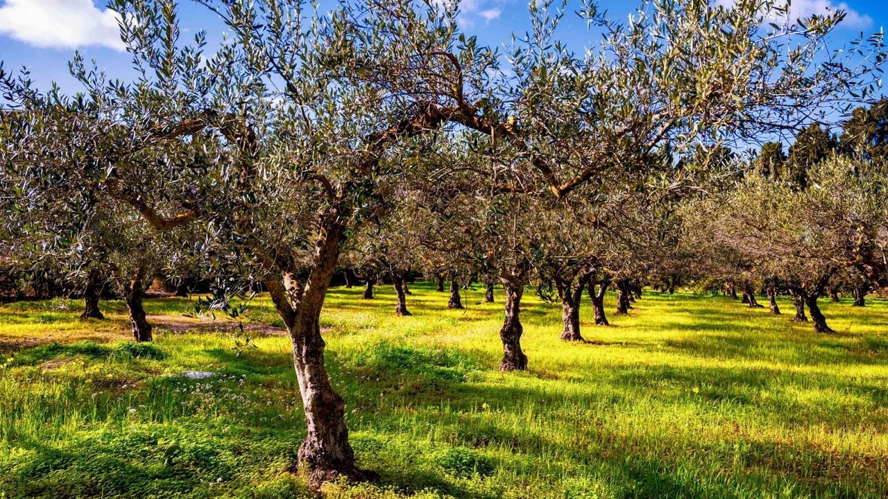 Photo of Outdoor in Trapani