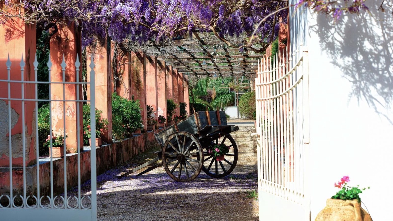 Photo of Outdoor in Trapani