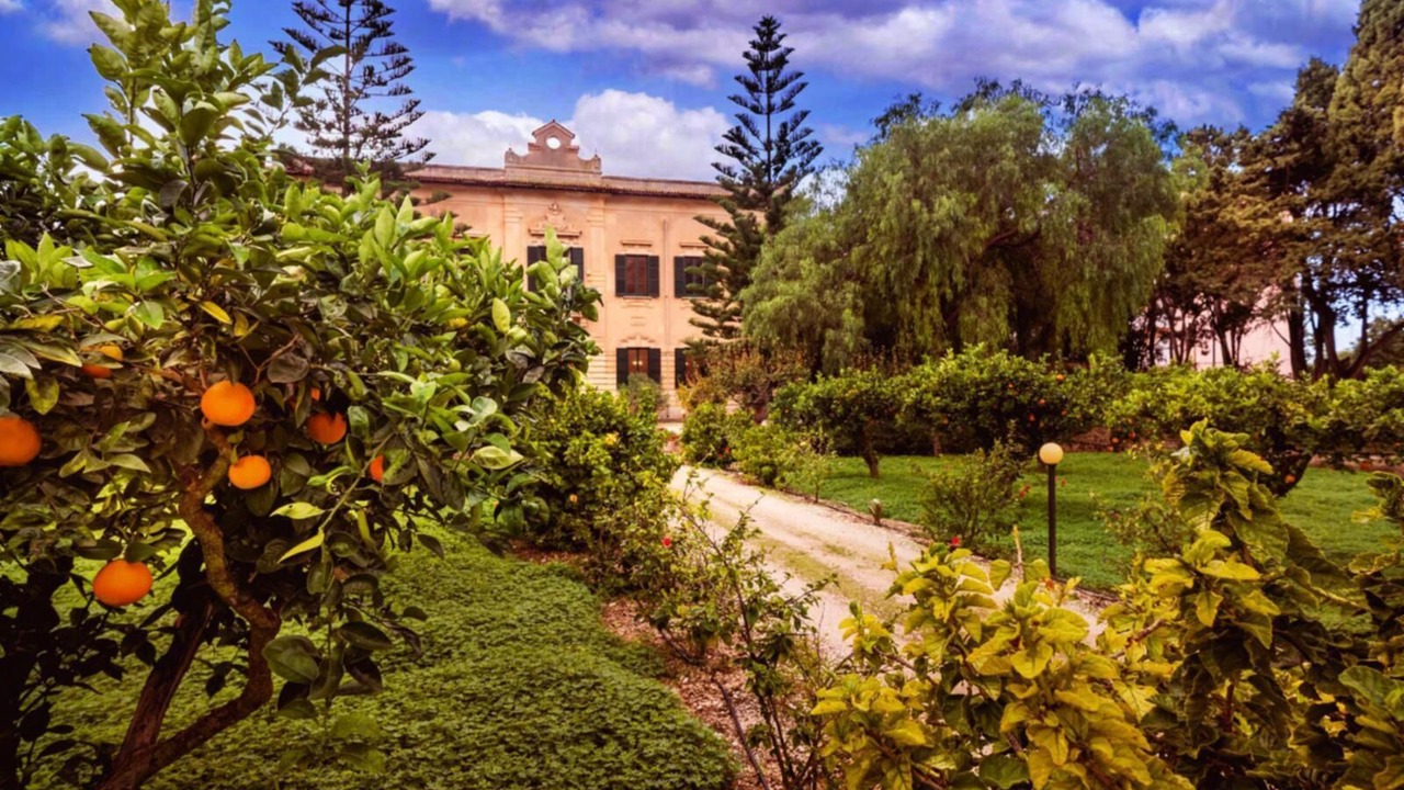 Photo of Outdoor in Trapani