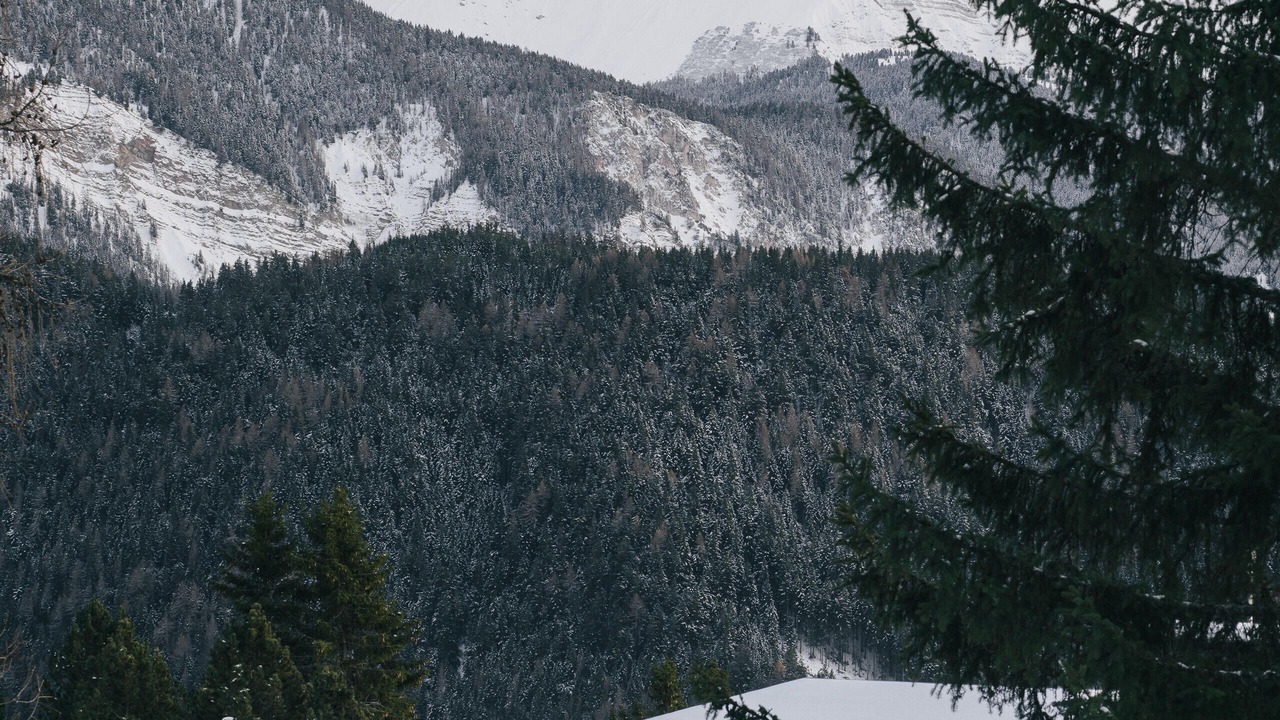 Photo of Outdoor in Eores