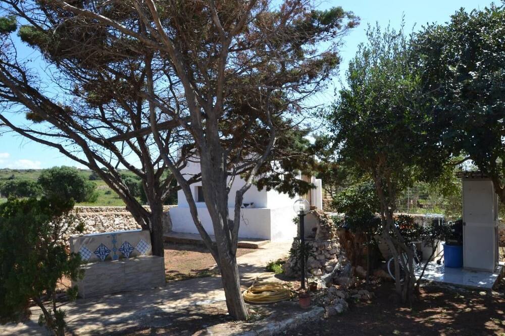 Photo of Others in Favignana
