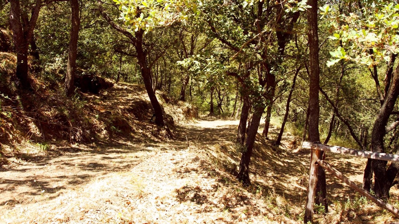 Photo of Outdoor in Francavilla di Sicilia