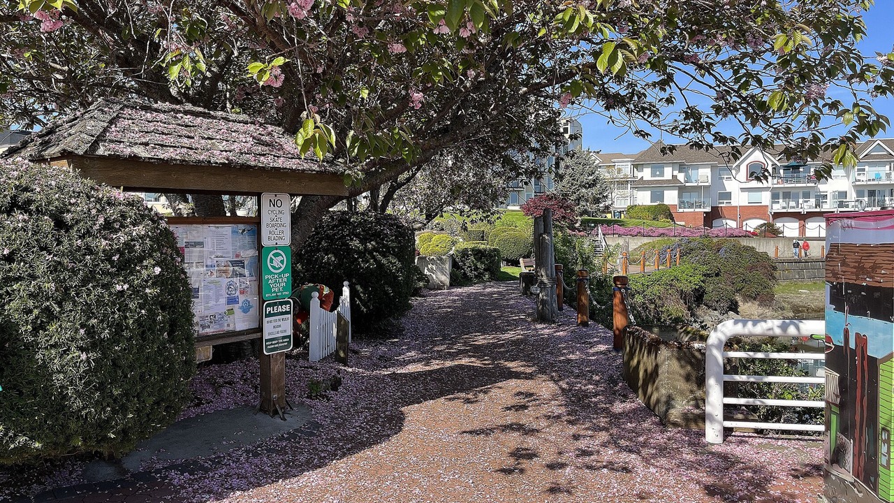 Photo of Outdoor in Sidney