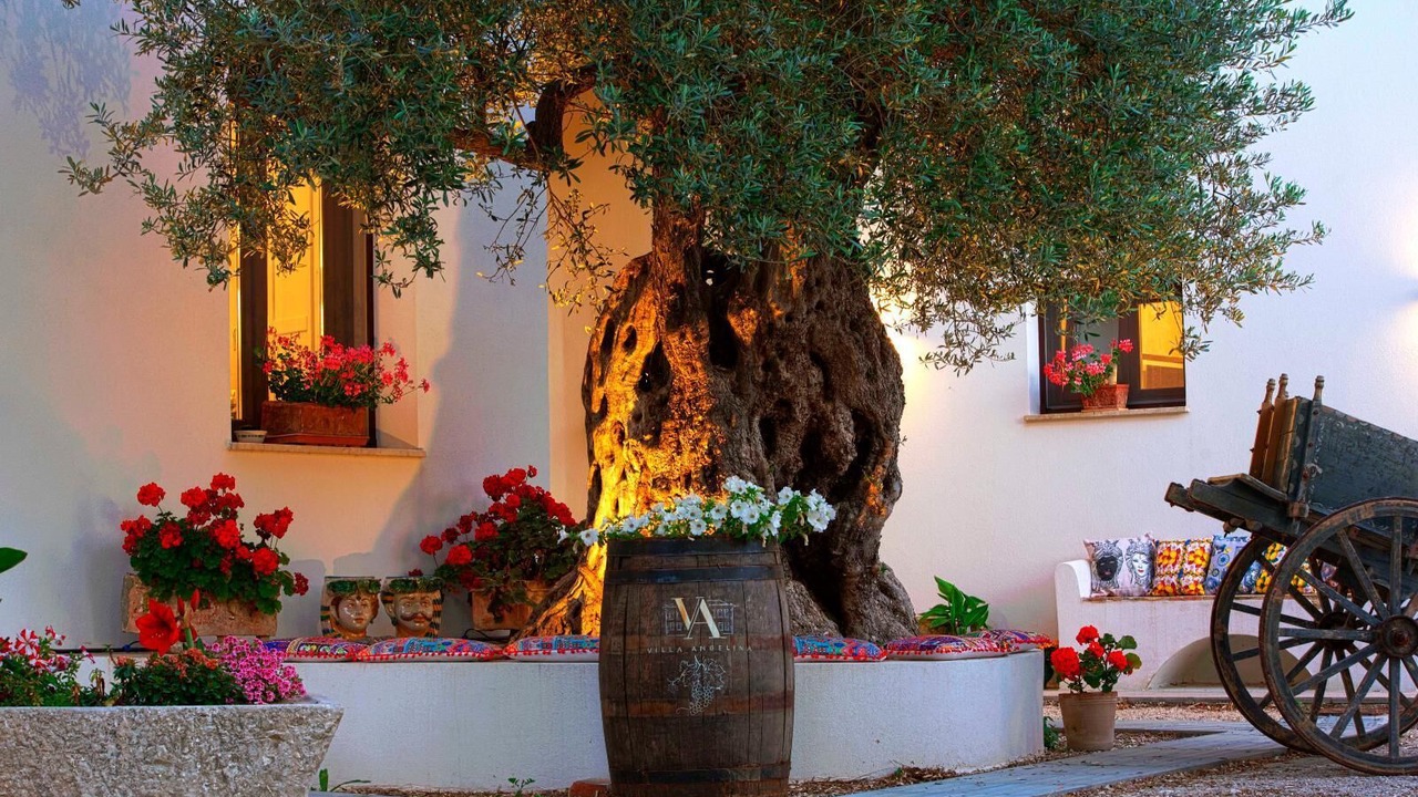 Photo of Outdoor in Trapani
